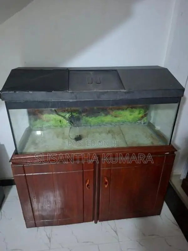 4 feet fish tank with stand