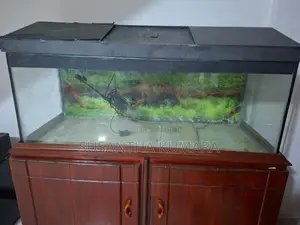 4 feet fish tank with stand