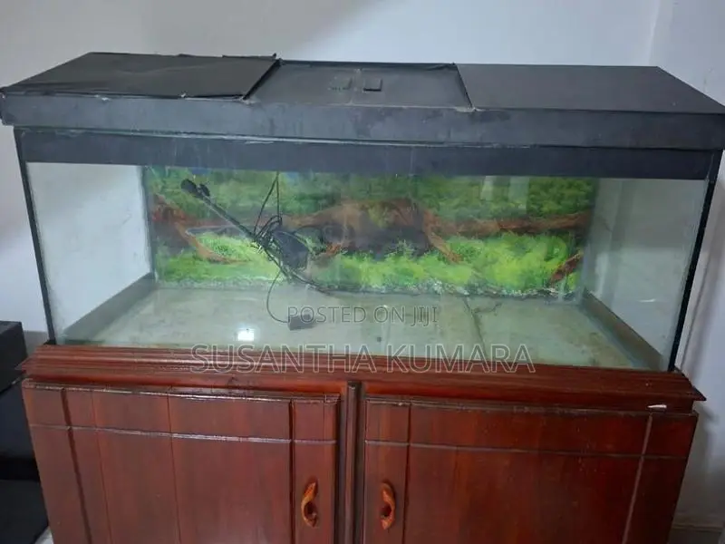 4 feet fish tank with stand