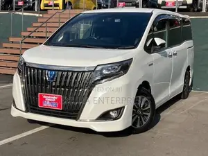 Toyota Noah Esquire Zrr80 G Head Light Garnish