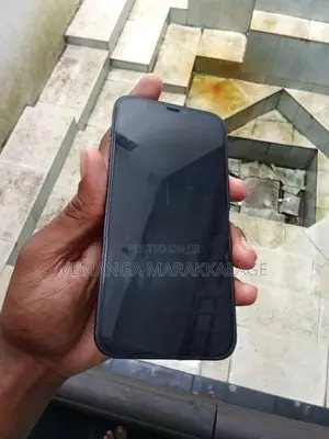 Apple iPhone 12 (Used)