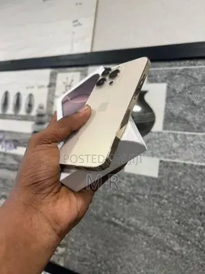 Apple iPhone 13 Pro (Used)