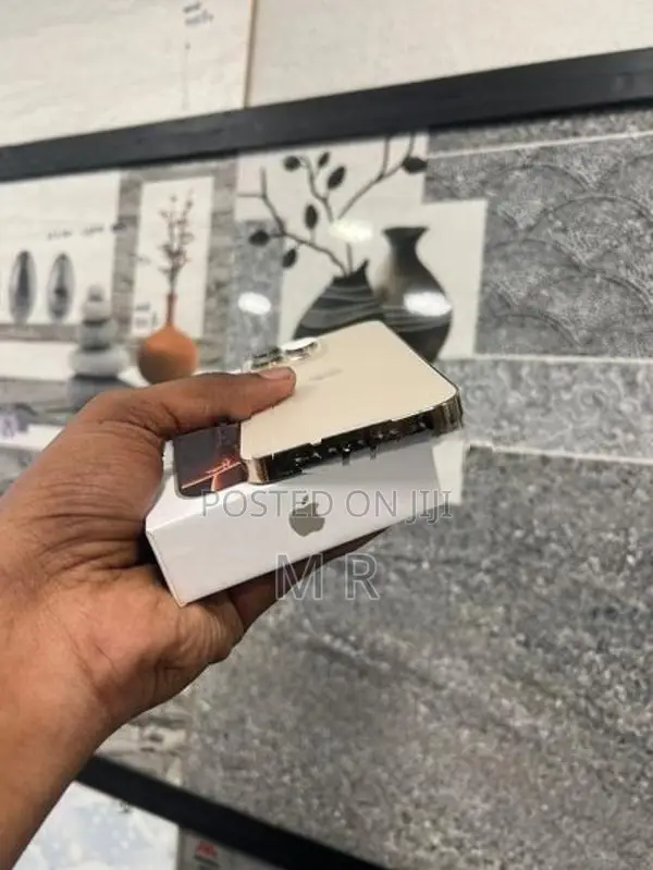 Apple iPhone 13 Pro (Used)
