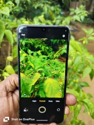 Vivo V25 5G (Used)