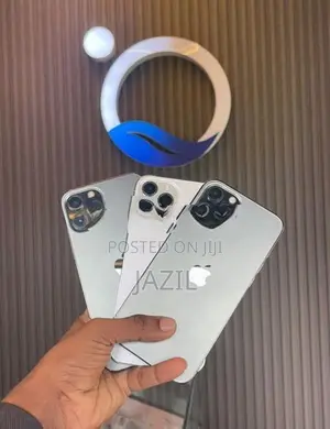 Apple iPhone 12 Pro Max (Used)