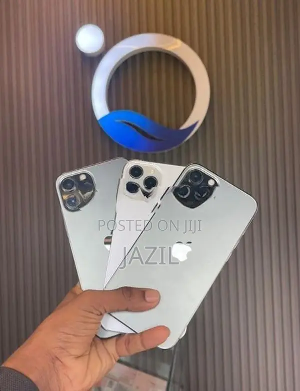 Apple iPhone 12 Pro Max (Used)