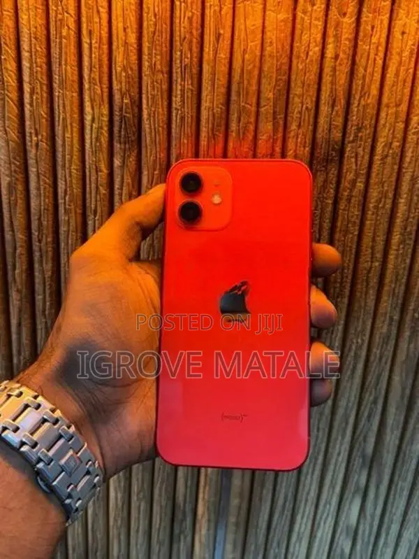 Apple iPhone 12 (Used)