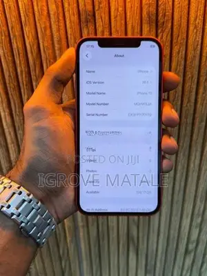 Apple iPhone 12 (Used)