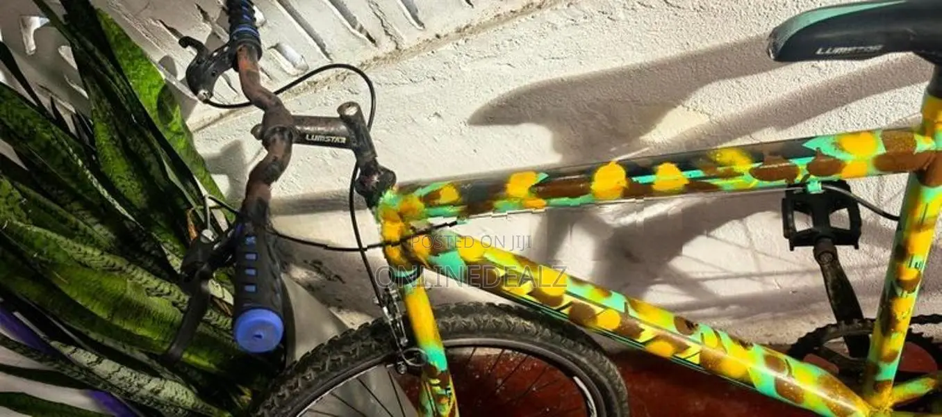 Lumstar Bicycle