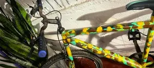 Lumstar Bicycle