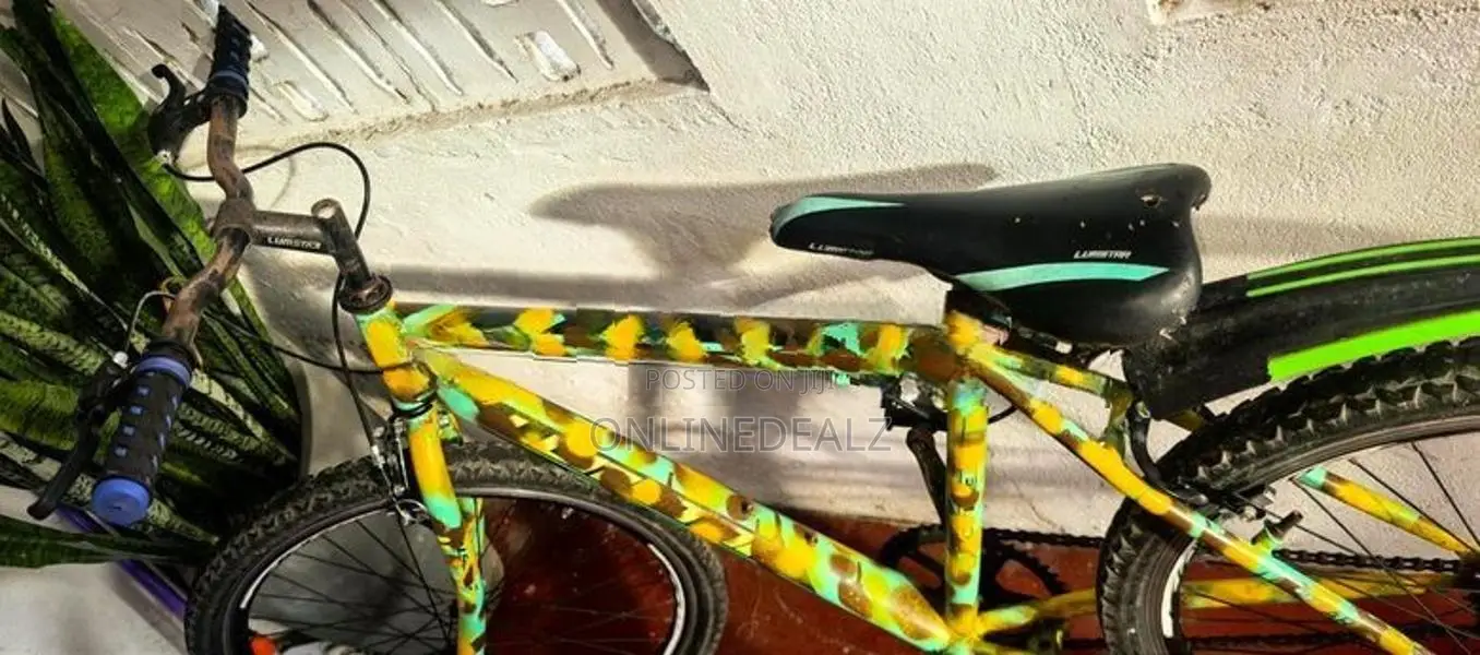 Lumstar Bicycle
