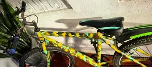 Lumstar Bicycle