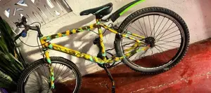Lumstar Bicycle