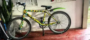 Lumstar Bicycle