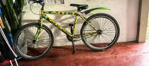 Lumstar Bicycle