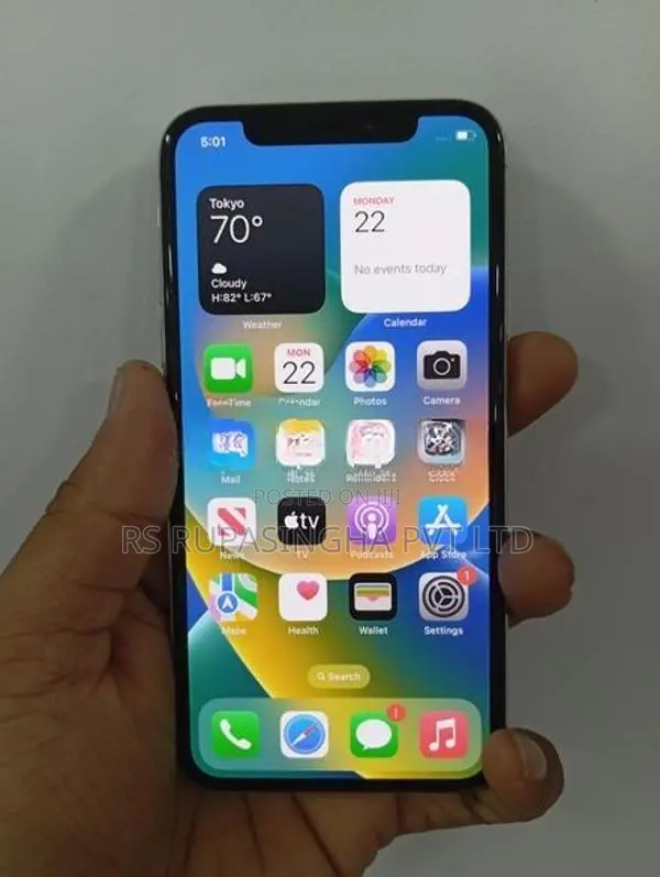 Apple iPhone X 256GB (Used)