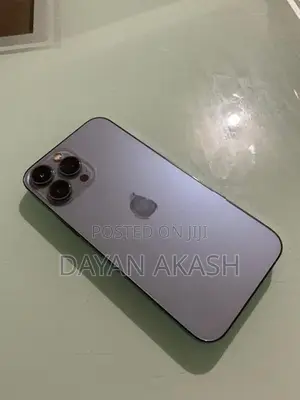 Apple iPhone 13 Pro Max (Used)