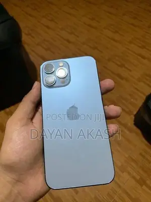 Apple iPhone 13 Pro Max (Used)