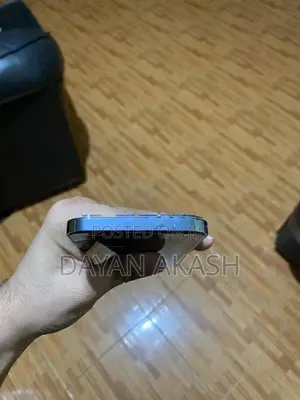 Apple iPhone 13 Pro Max (Used)