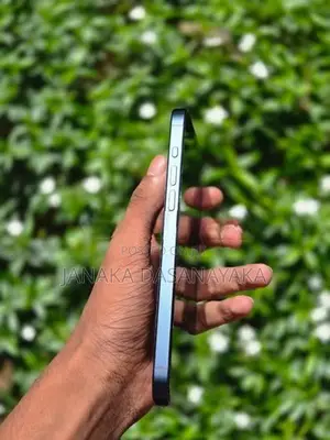 Apple iPhone 15 Pro Max (Used)