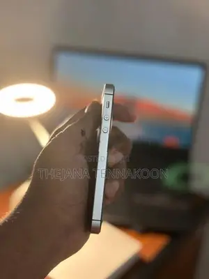 Apple iPhone SE 4G (Used)