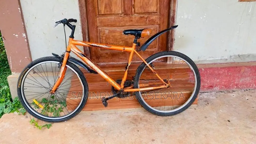 Mountain Bicycle