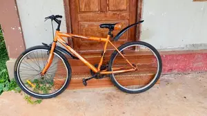 Mountain Bicycle