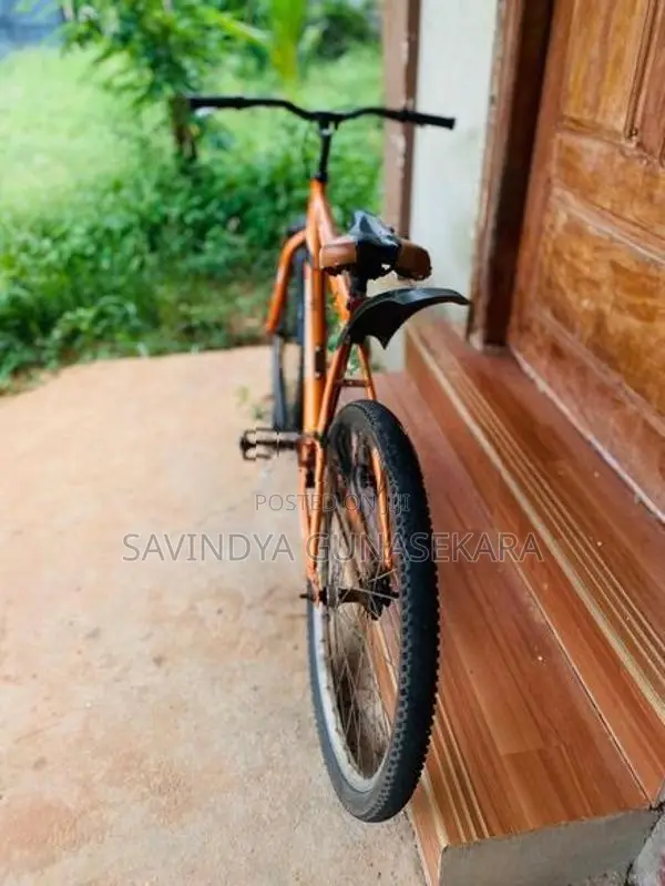 Mountain Bicycle
