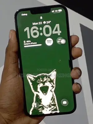 Apple iPhone 13 Pro (Used)