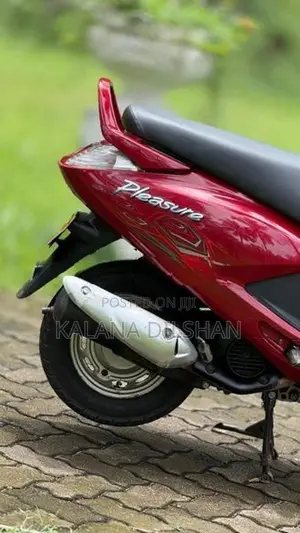Hero Pleasure 2012