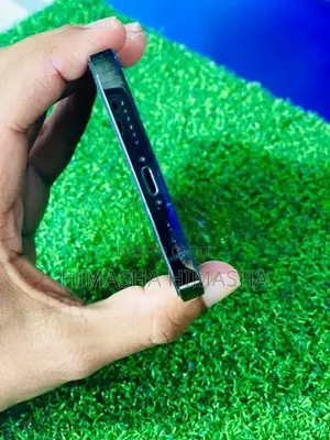 Apple iPhone 12 Pro Max (Used)