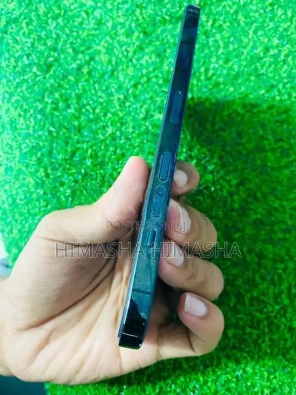 Apple iPhone 12 Pro Max (Used)