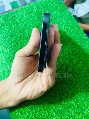 Apple iPhone 12 Pro Max (Used)