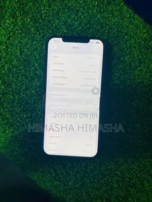 Apple iPhone 12 Pro Max (Used)