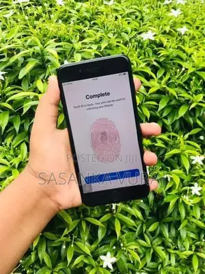 Apple iPhone 7 Plus (Used)