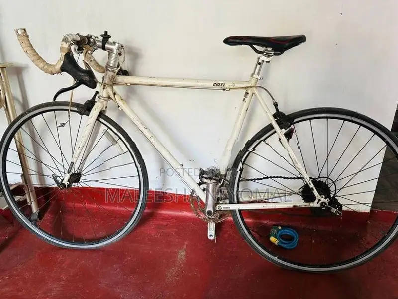 Racing Bicycle