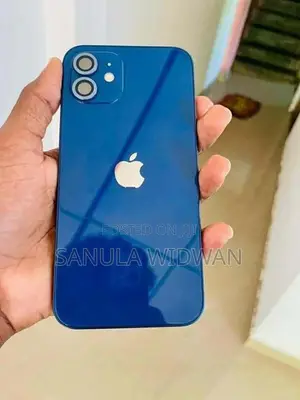 Apple iPhone 12 (Used)