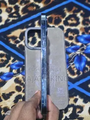 Apple iPhone 12 Pro Max (Used)