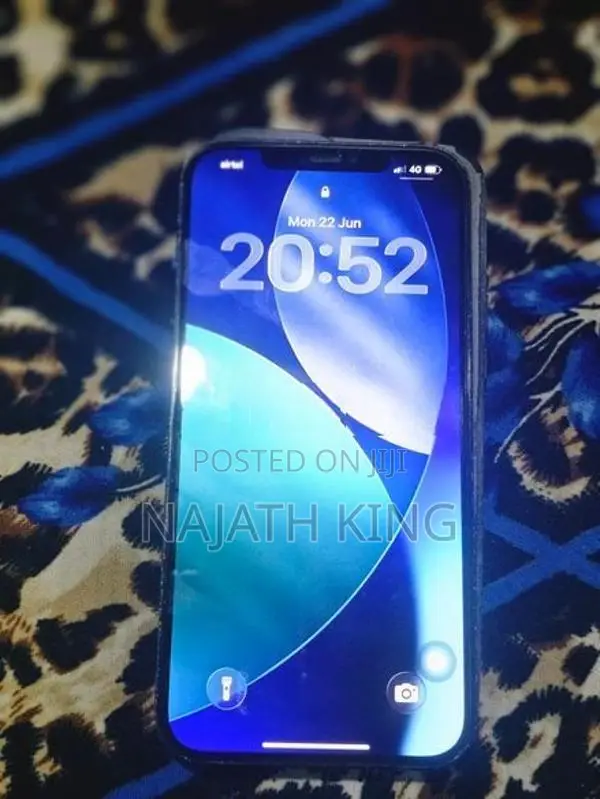 Apple iPhone 12 Pro Max (Used)