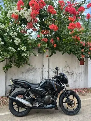 TVS Apache RTR 2013