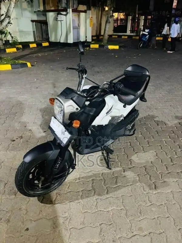 Honda Navi 2019