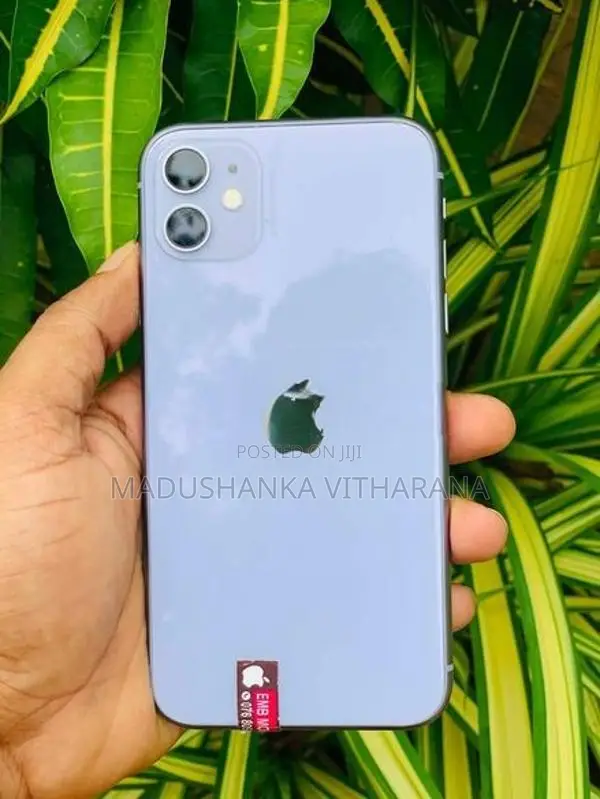 Apple iPhone 11 (Used)