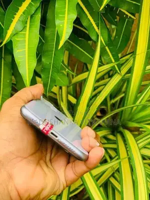 Apple iPhone 11 (Used)