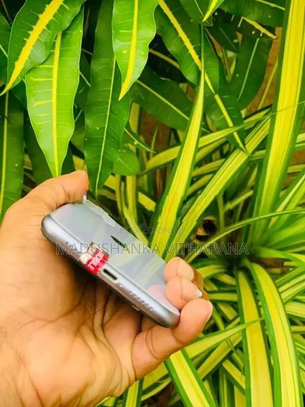 Apple iPhone 11 (Used)