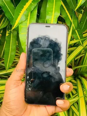 Apple iPhone 11 (Used)