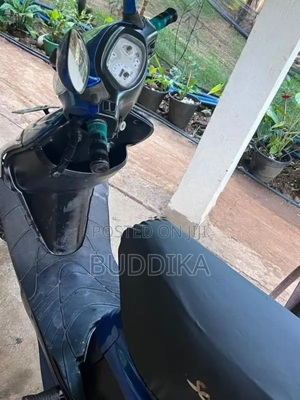 TVS Scooty Pept 2018