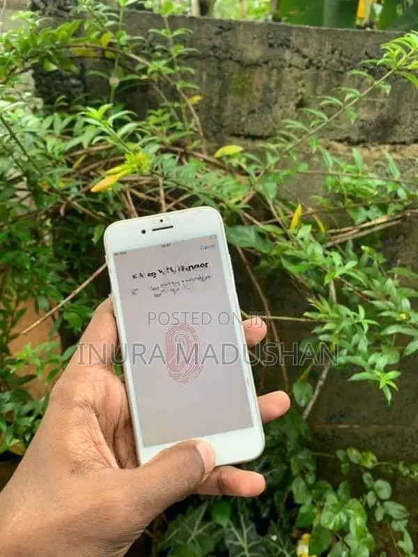 Apple iPhone 8 64GB (Used)