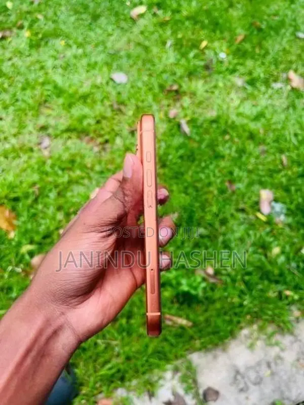 Apple iPhone 17 Pro (Used)