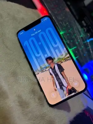 Apple iPhone 12 (Used)