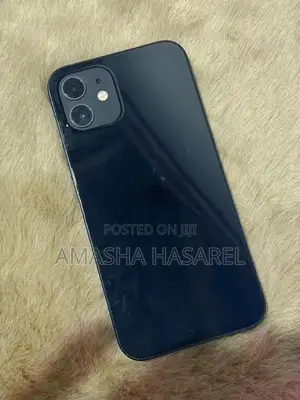 Apple iPhone 12 (Used)